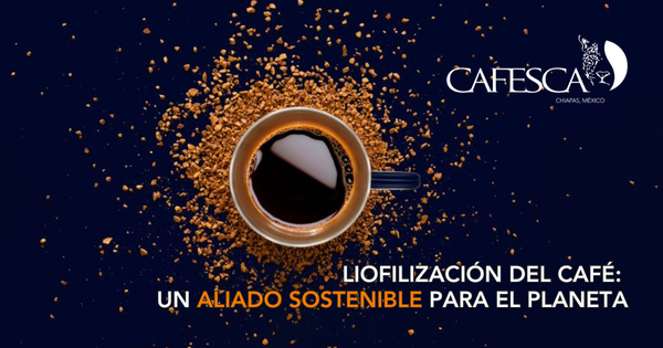 🌿 Liofilización del Café: Un Aliado Sostenible para el Planeta