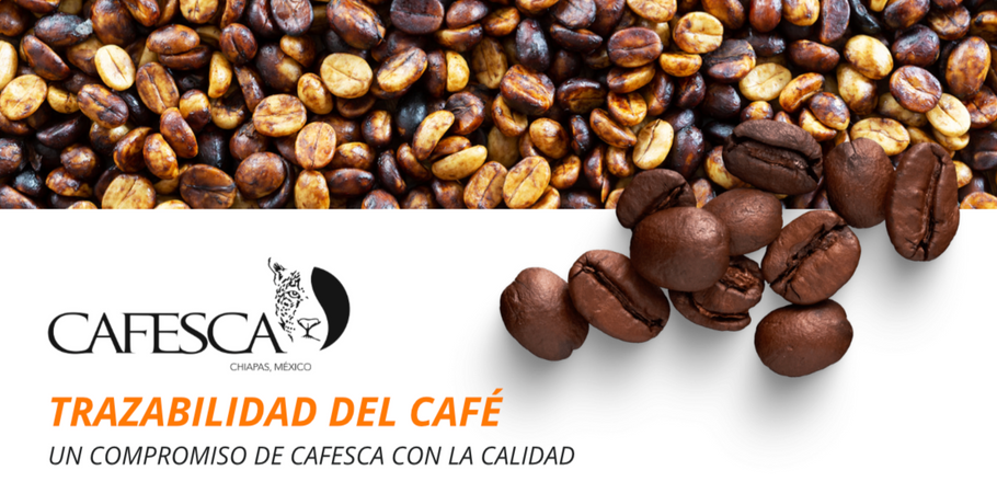Trazabilidad del Café: un Compromiso de CAFESCA con la Calidad