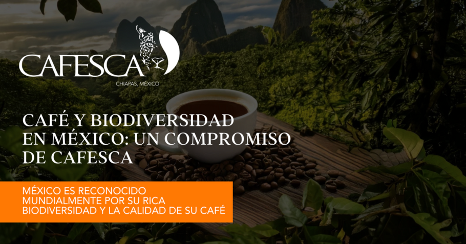 Café y Biodiversidad en México: Un Compromiso de CAFESCA