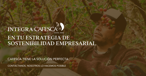 Impulsa tus valores empresariales de sostenibilidad con CAFESCA.