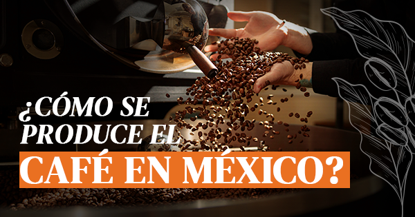 ¿Cómo se produce el café en México?