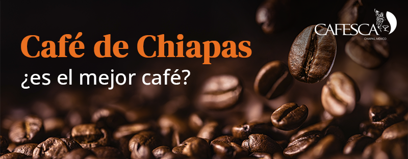 Café de Chiapas, ¿es el mejor café?